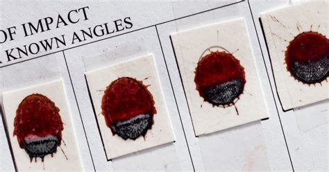 Image result for Show for Forensic Blood Spatter