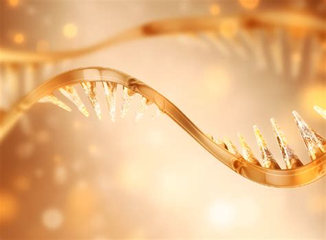 Image result for Genome vs Transcriptome