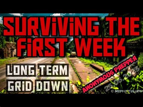 Image result for Grid Down Prepping