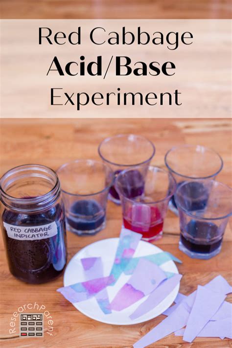 Afbeeldingsresultaten voor Buffer Experiment Using Red Cabbage Juice