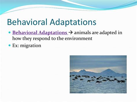 Image result for Behavioral Adaptation Examples