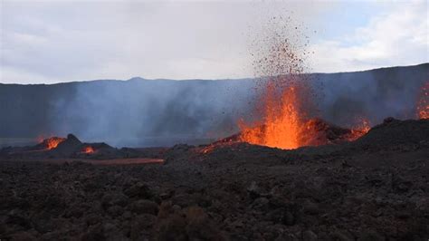 Piton Deutsch に対する画像結果
