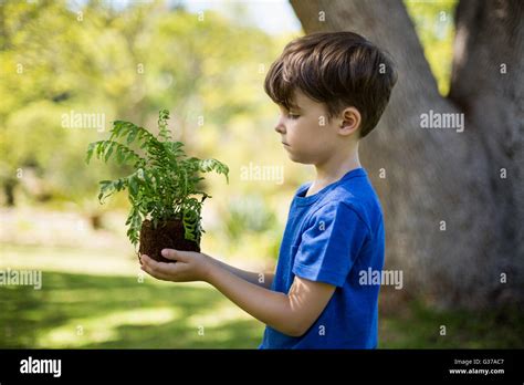 Image result for Plants Grab Boy's Arm