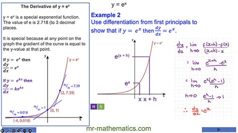 Image result for Exponential Function Mathematics