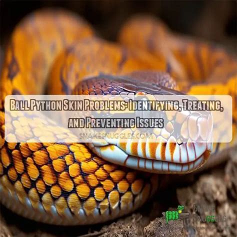 Image result for Ball Python Skin