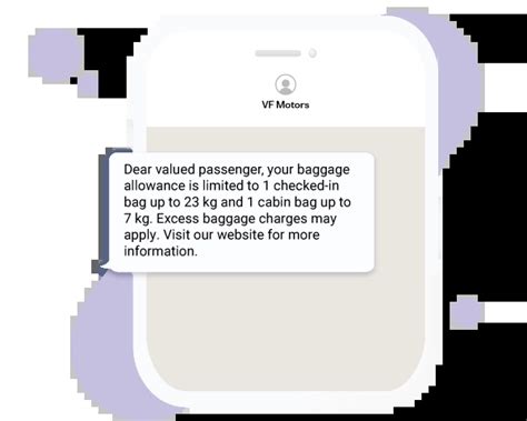 Image result for Baggage Source Message Format