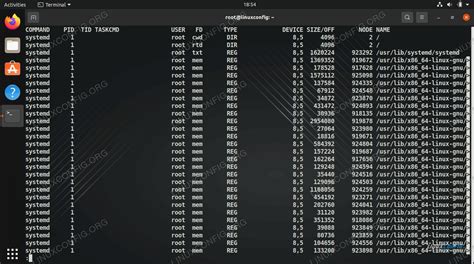 Afbeeldingsresultaten voor Lsof