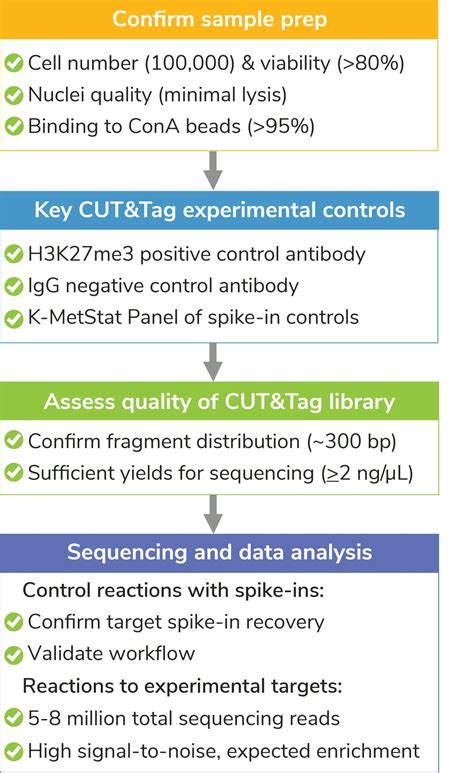 Toradh íomhá ar Cut and Tag Tutorial