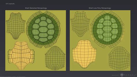 Image result for Turtle Shell Cartoon Texture