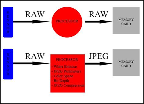 Image result for Raw File Format Full Form