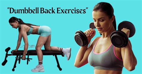 Image result for Back Exercises with Dumbbells On Duble Reack