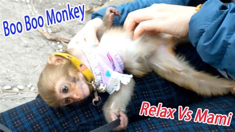 Image result for Monkey Boo Channel