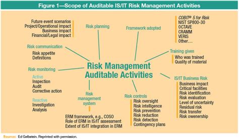 Auditing vs Risk Management に対する画像結果