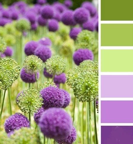 Image result for Eye-Catching Color Combinations