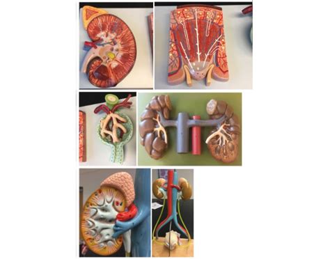 Toradh íomhá ar Java Practicle Quiz