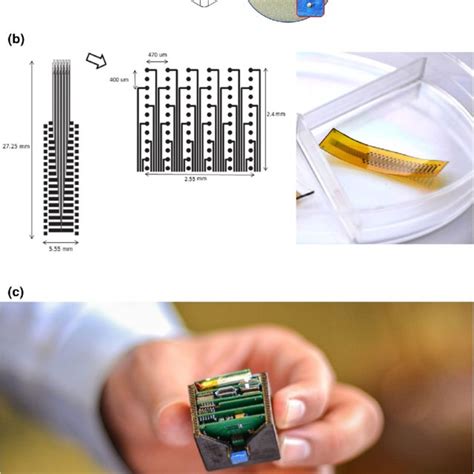 Utah Microelectrode Array に対する画像結果
