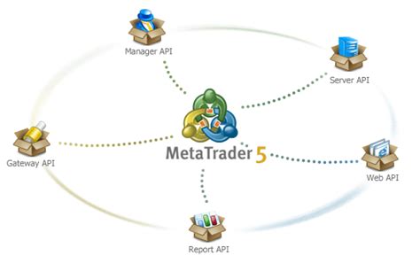 Image result for Meta API Trading