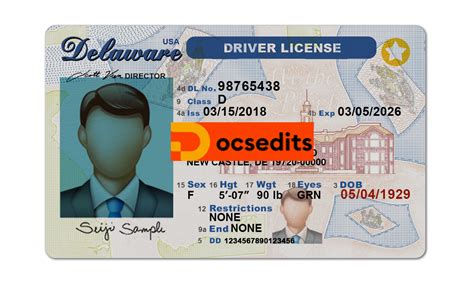 Image result for Delaware Driver License Sample