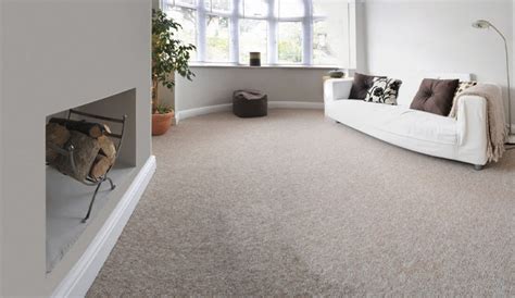 Image result for Level Loop Pile Carpet Example