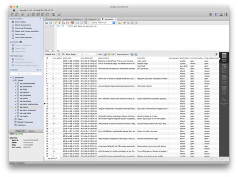 How Import SQL Query in Workbench ಗಾಗಿ ಇಮೇಜ್ ಫಲಿತಾಂಶ