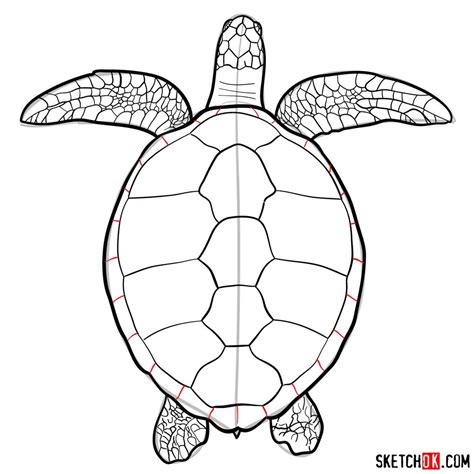 Image result for Turtle Draw
