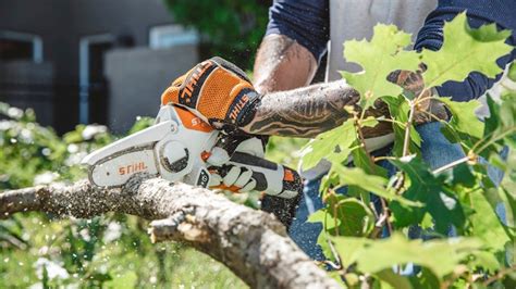 Image result for Northern Tool and Equipment in Houma