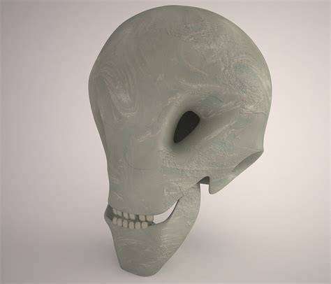 Image result for Alien Skull Anatomy