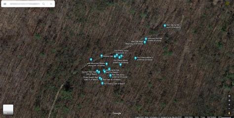 Résultat d’images pour Mapping Tree