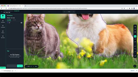 Image result for Roboflow Instance Segmentation