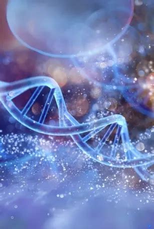 Toradh íomhá ar Array Labs Logo