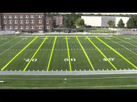 Parallel in Real Life に対する画像結果