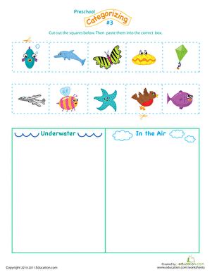Image result for Categorizing Worksheets