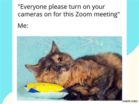 Image result for Zoom Call Meme