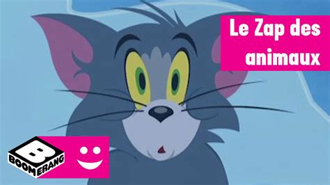 Zap Des Animaux に対する画像結果