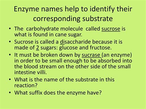 Afbeeldingsresultaten voor Sucrase Enzyme Structure