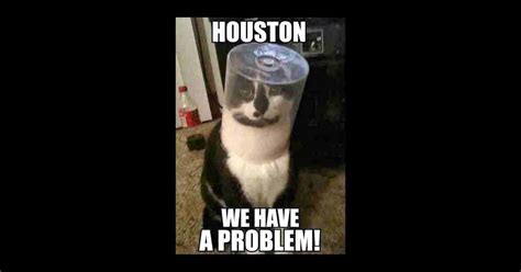 Image result for We Have a Problem Meme