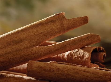 Image result for Cinnamon Book Pages