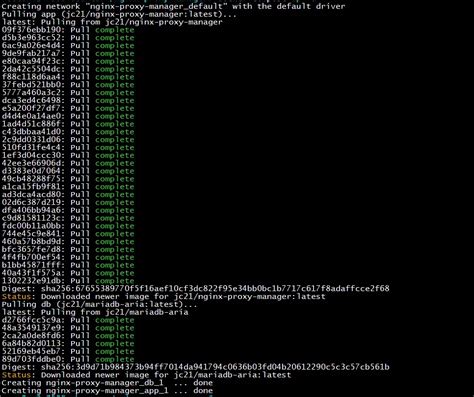 Image result for Nginx Proxy Manager