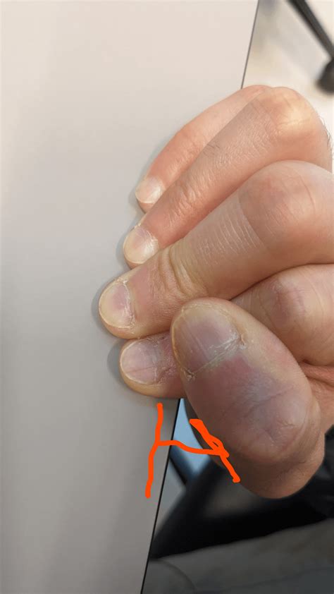 Image result for How to Crimp with a Nail