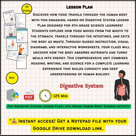 Image result for Human Digestive System Lesson Plan
