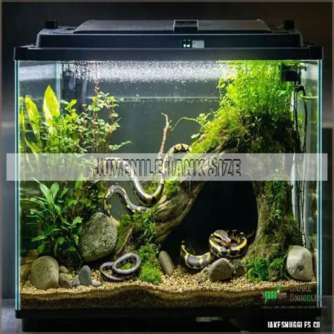 Pet Python Tank に対する画像結果