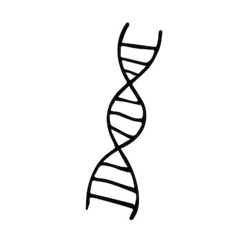 Image result for How to Draw a DNA Strand