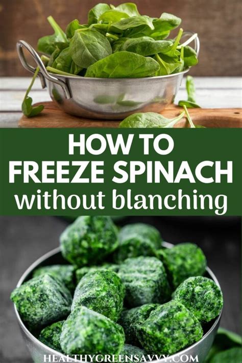 Image result for How to Freeze Spinach Leaves