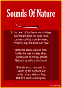 Toradh íomhá ar Short Nature Videos Sound Less