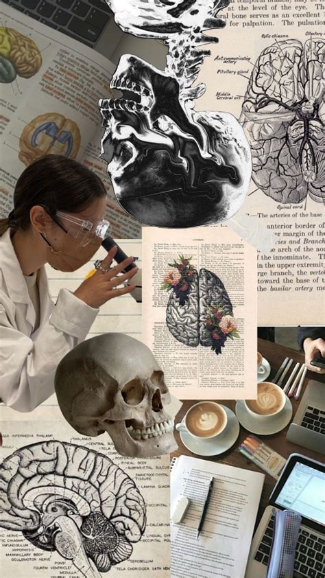 Asthetic Computer Lab എന്നതിനുള്ള ഇമേജ് ഫലം