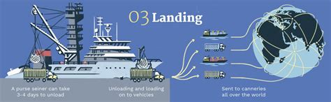 Afbeeldingsresultaten voor Tuna Canning Process