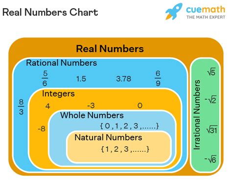 Image result for Organizing the Real Numbers