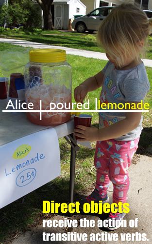 Image result for What Is a Direct Object Example