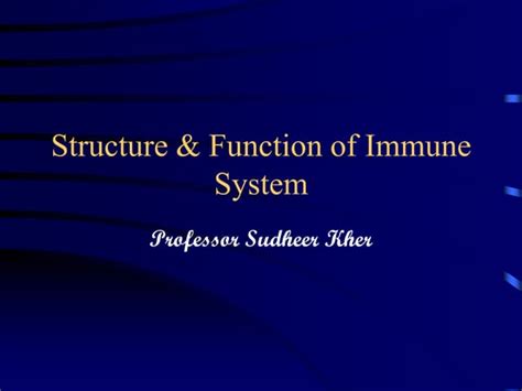 Image result for Immune System Structure