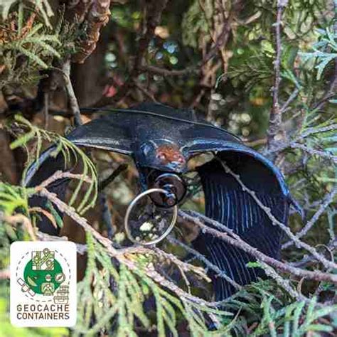 Afbeeldingsresultaten voor Large Geocache Containers